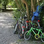 In Near Forest Quend-Plage