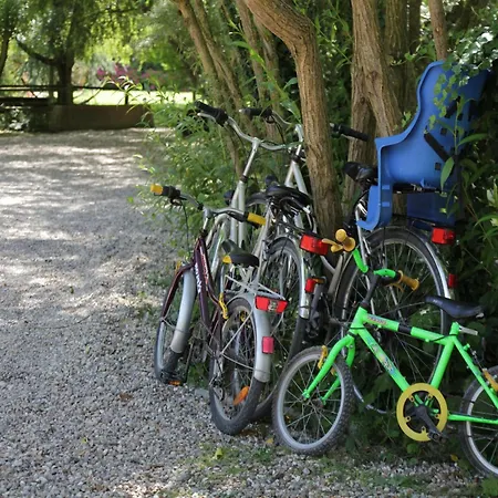 In Near Forest Quend-Plage