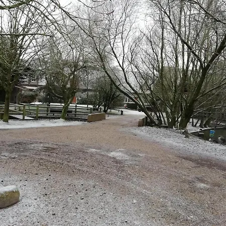 In Near Forest Ferienhaus Quend-Plage