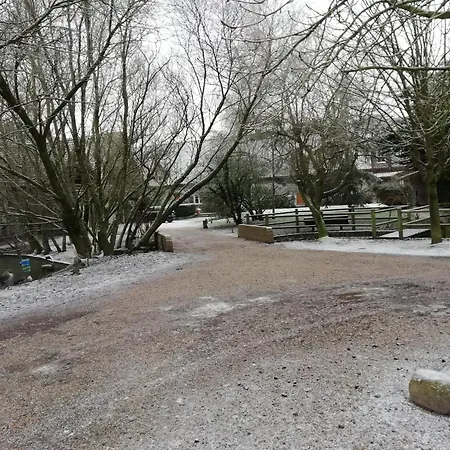 In Near Forest Ferienhaus Quend-Plage